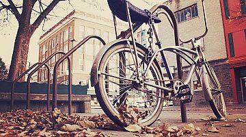 Etiam feugiat lorem non metus