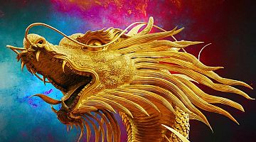 Donec elit libero sodales nec