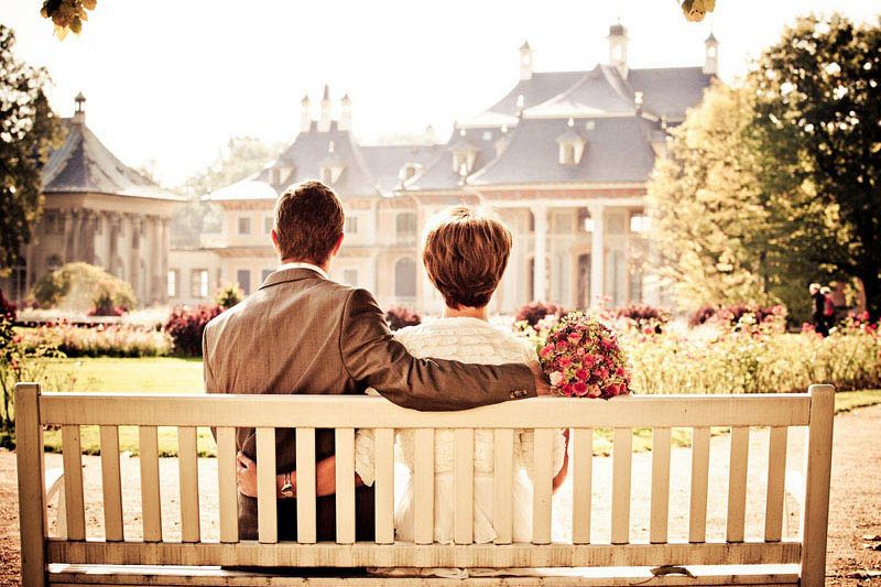 Sed magna purus fermentum